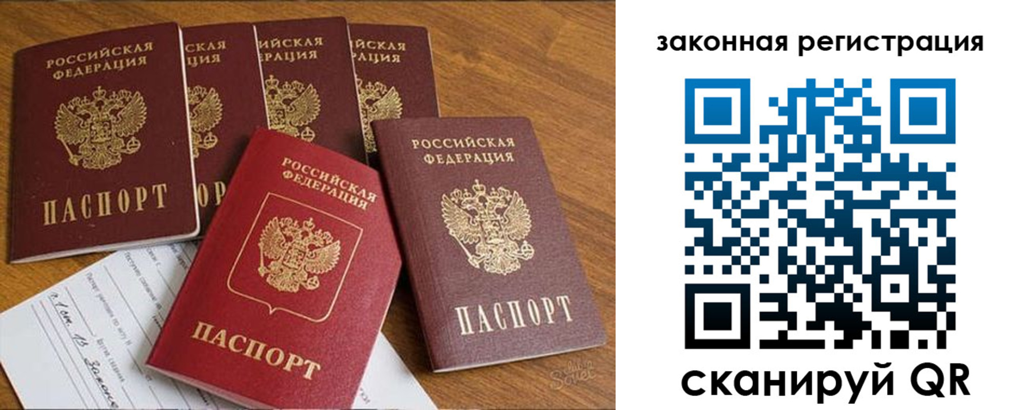 прописка в Курской области