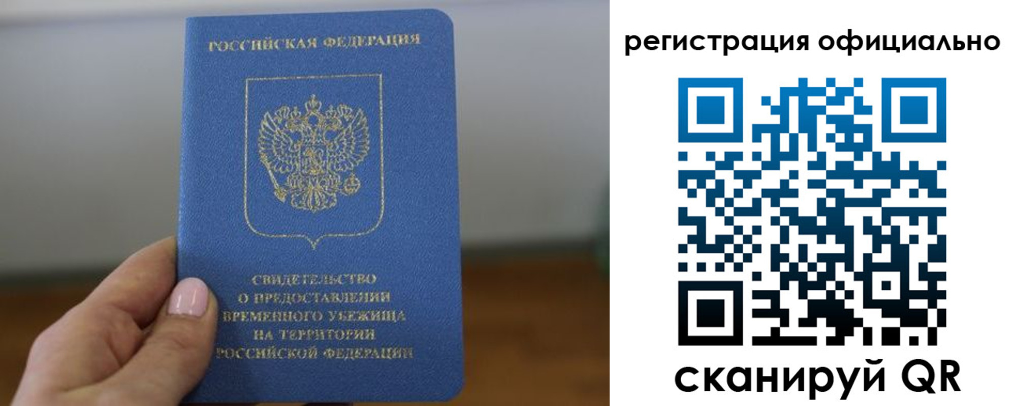 регистрация в Курской области